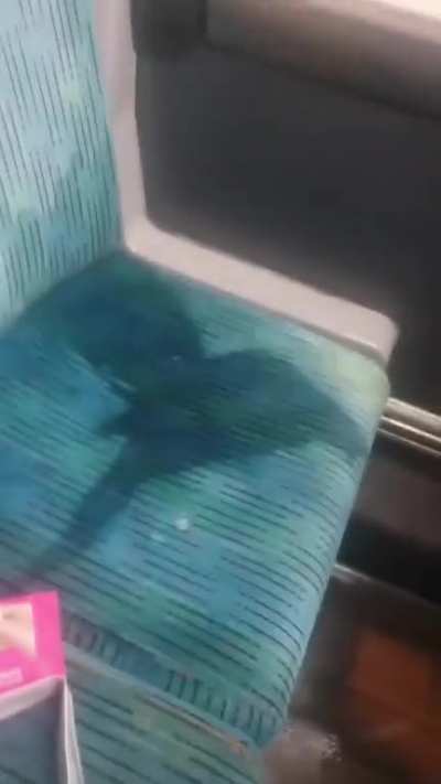 Cleanest NYC train