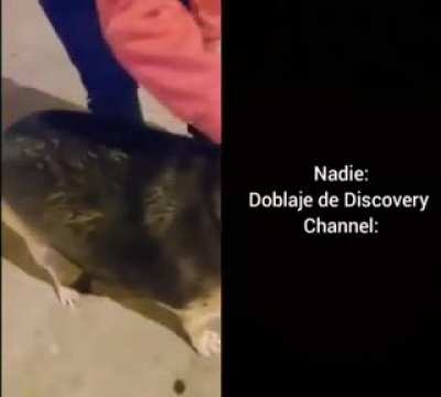 :l