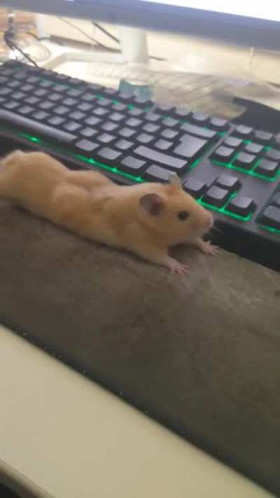 Stretchy boy