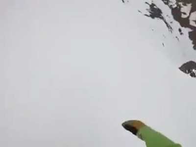 Doggo takes the easy way down