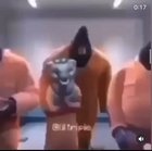 Yes