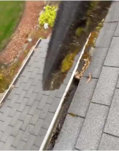 Who knew cleaning gutters would be so satisfying