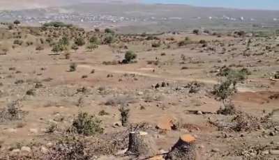 According to local sources, the Israeli Army is deforesting newly occupied areas in northern Quneitra to create line-of-sight for its forces, but won't allow Sunni villagers from Jubatha al-Khashab & Tranjeh to at least collect the firewood, but is al