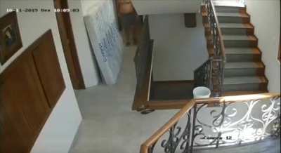 Убежали как кошки, испуг<wbr>авшис<wbr>ь громк<wbr>ого звука