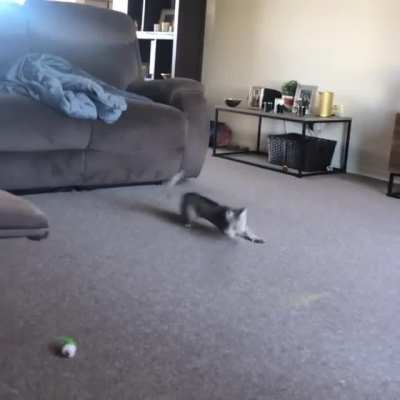 Trying to catch the string