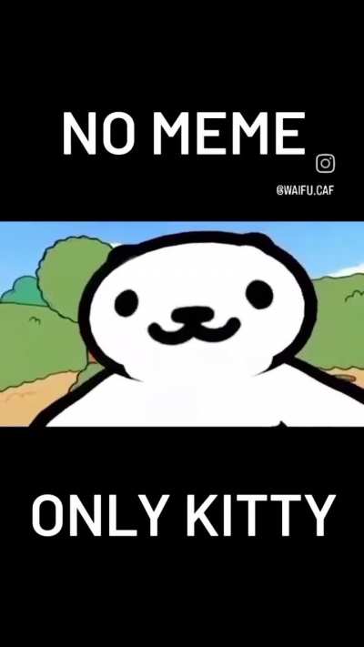 Gato