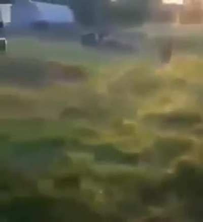 Que magia negra é essa