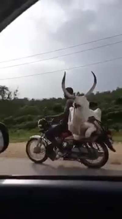 Is this belongs here?