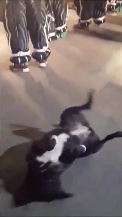 Nice dance moves, girl!