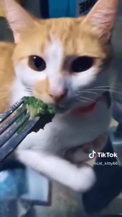 Broccoli