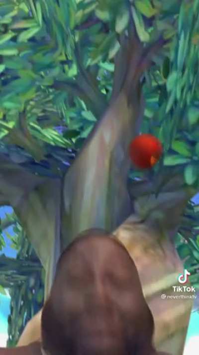 Man discovers gravity