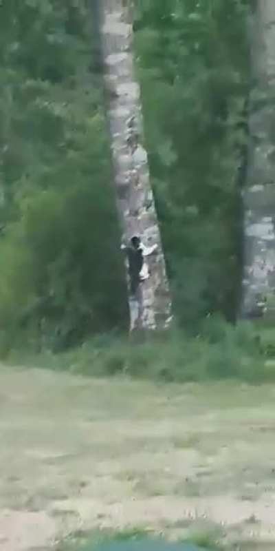 The most epic hug I've ever seen.
