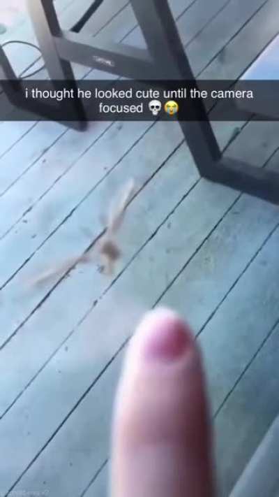 It's a bit loud, careful