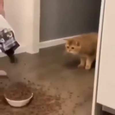 moldy overfeeding