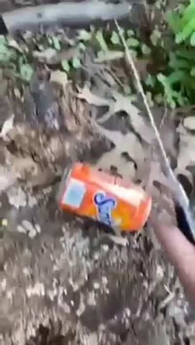 refri ou bolo?????