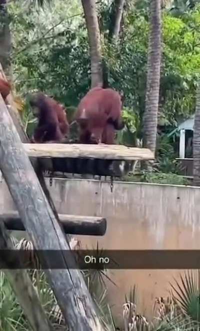 They Just Like Us Fr