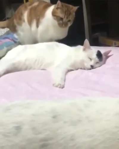 backstab reflected
