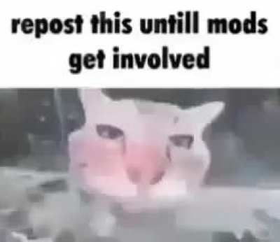 Repost