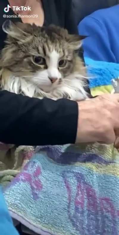 Cutting claws