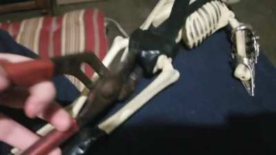 Cock and bone tourture