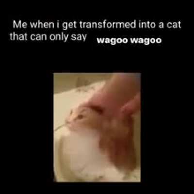 Wagoo wunk