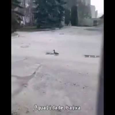 F :'(