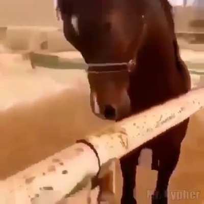 Juan