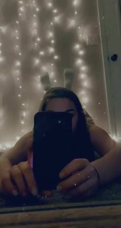 bugs bunny