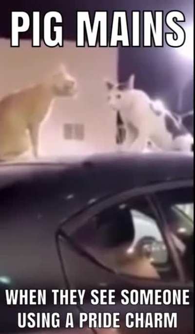 😦
