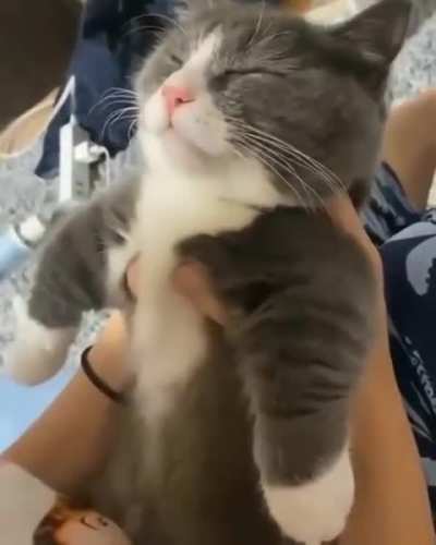 Hold your kiss, Human