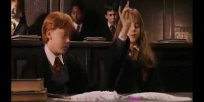 Livgardium leviosa
