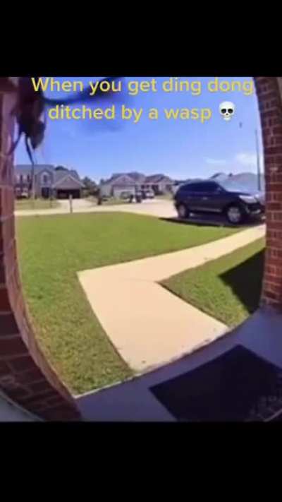 Bruh