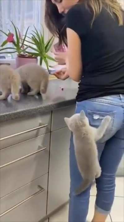 to prepare food peacefully