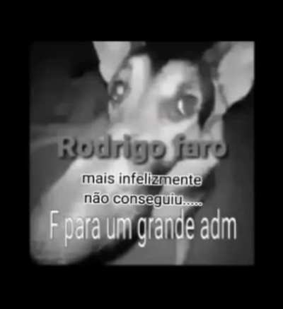 Rodrigo