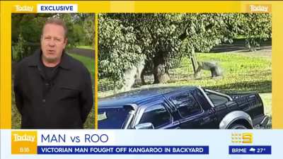 Man fights Kangaroo for 6 minutes to save dogs.