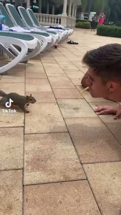 Bonding