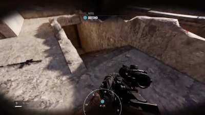 Wut