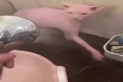 He just screaming shower