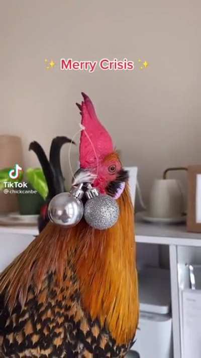 Merry crisis