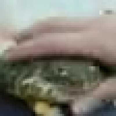 image0.png