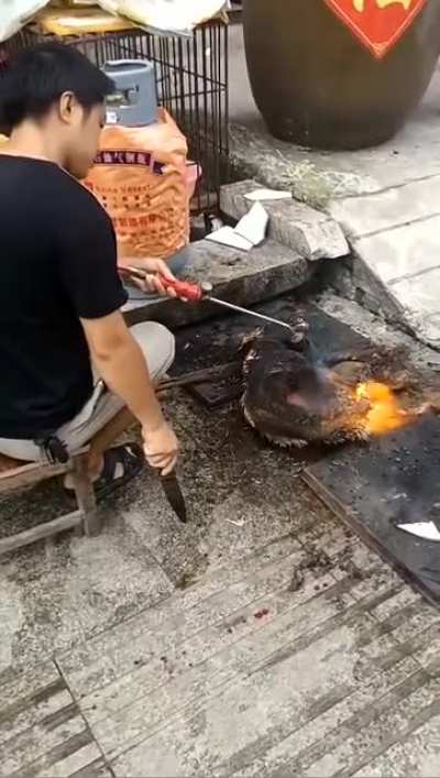 中国人的美食文化