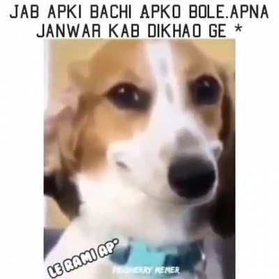 Konsa janwaar