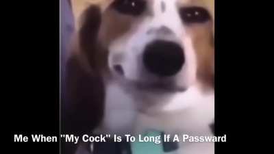 —