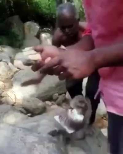Cutting cake outdoors