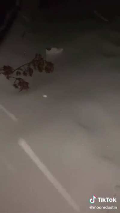 My people need me