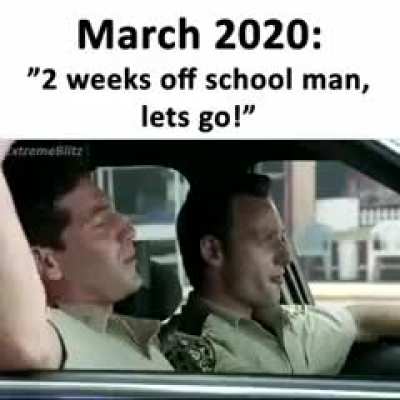 time flies