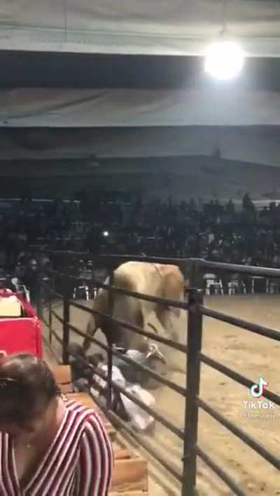 Бычара раздал люлей