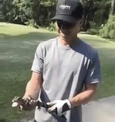 RIP