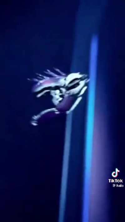 Halo social media team better memers than this whole sub.