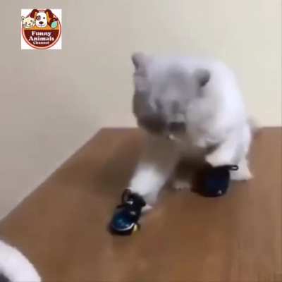 Quick Learner